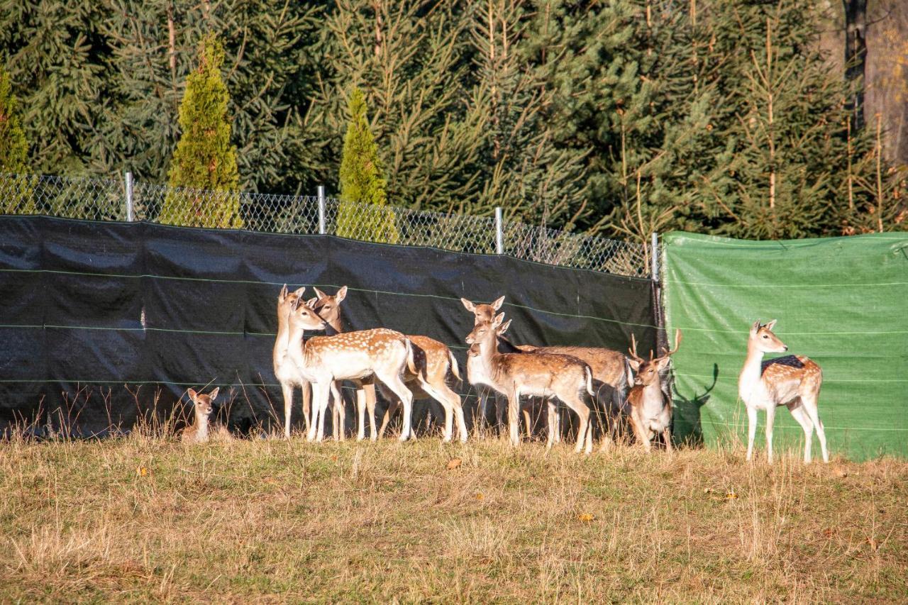 Grand Tatry - Miejsce Na Wyjatkowy Pobyt Dla Ciebie I Twojej Rodziny! - Sauna I Jacuzzi Wliczone W Cene Pobytu -10 Minut Pieszo Od Term Bania Białka Tatrzańska Exteriér fotografie