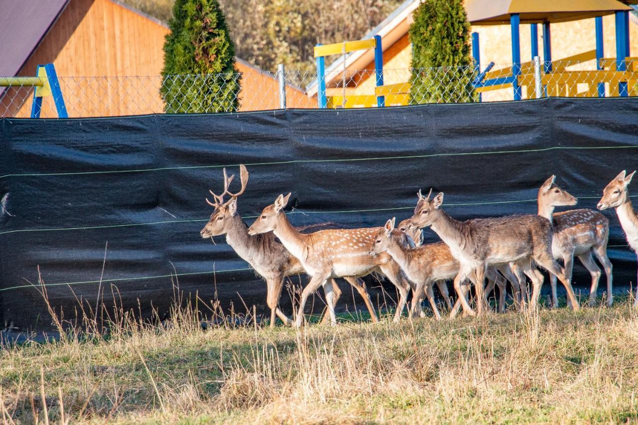 Grand Tatry - Miejsce Na Wyjatkowy Pobyt Dla Ciebie I Twojej Rodziny! - Sauna I Jacuzzi Wliczone W Cene Pobytu -10 Minut Pieszo Od Term Bania Białka Tatrzańska Exteriér fotografie