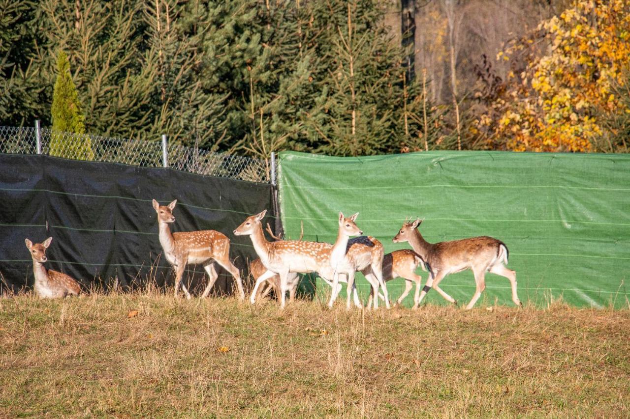 Grand Tatry - Miejsce Na Wyjatkowy Pobyt Dla Ciebie I Twojej Rodziny! - Sauna I Jacuzzi Wliczone W Cene Pobytu -10 Minut Pieszo Od Term Bania Białka Tatrzańska Exteriér fotografie